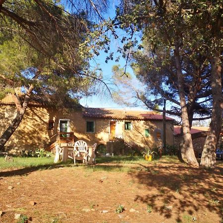 Maison Entiere Hameau Monastir Del Camp Passa エクステリア 写真
