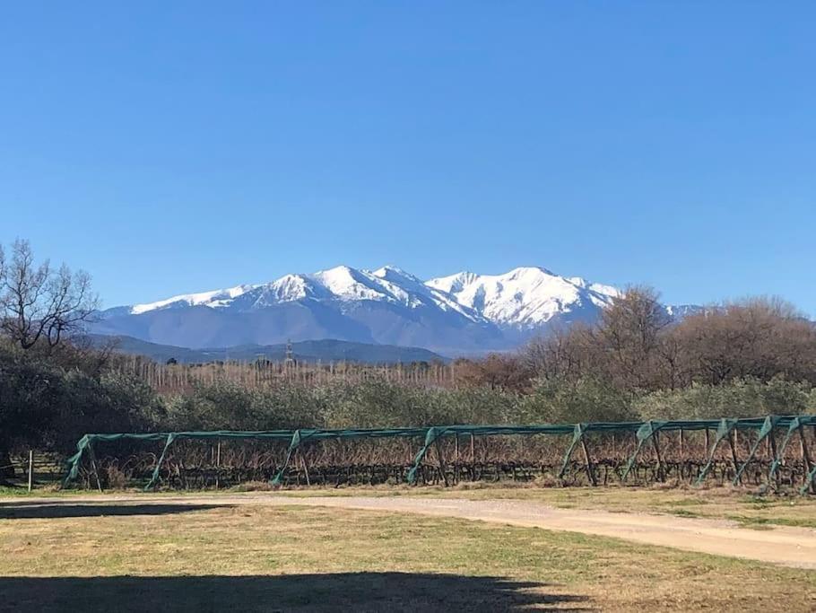 Maison Entiere Hameau Monastir Del Camp Passa エクステリア 写真