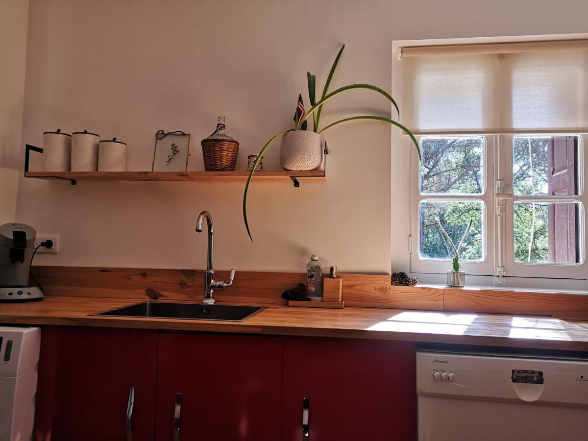 Maison Entiere Hameau Monastir Del Camp Passa エクステリア 写真