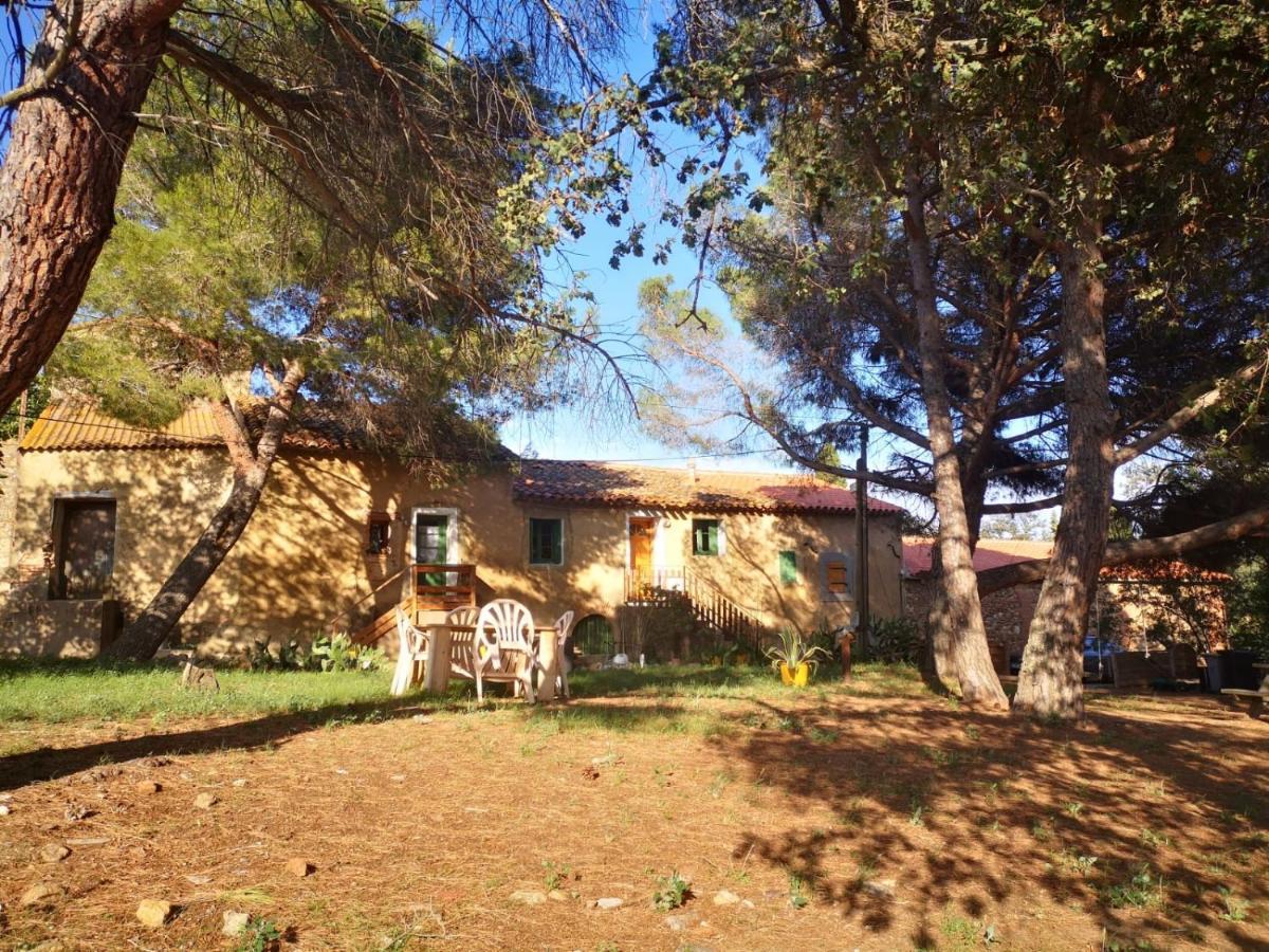 Maison Entiere Hameau Monastir Del Camp Passa エクステリア 写真